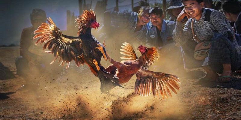 Banner www.sonadezigolfclub.com.vn